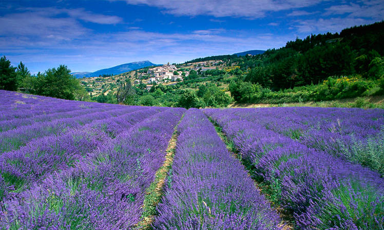 Salon de Provence surroundings